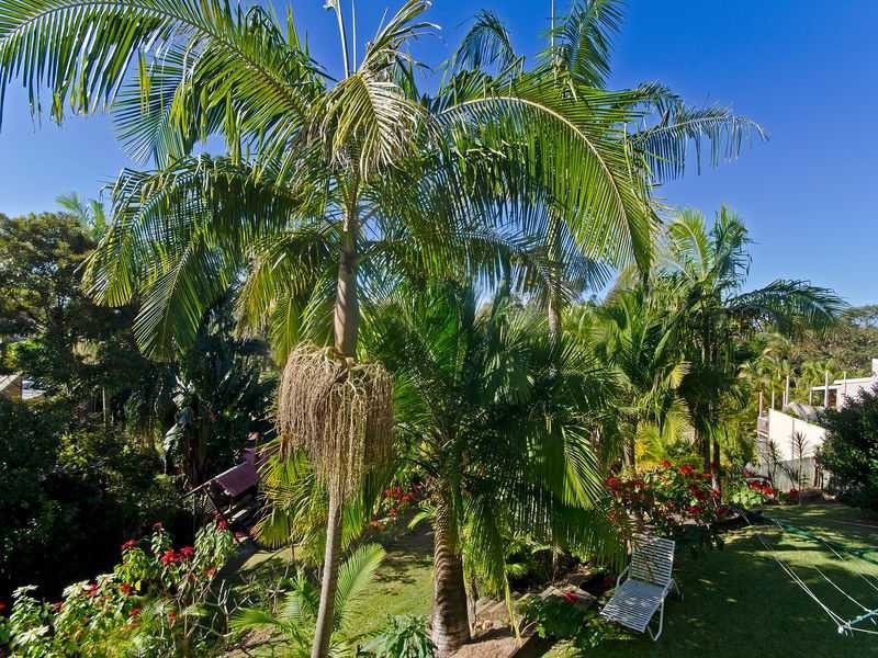 155 K P McGrath Drive, Elanora QLD 4221