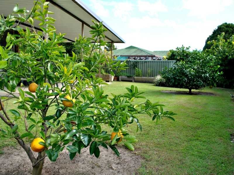 9 Cedar Court, Palm Beach QLD 4221