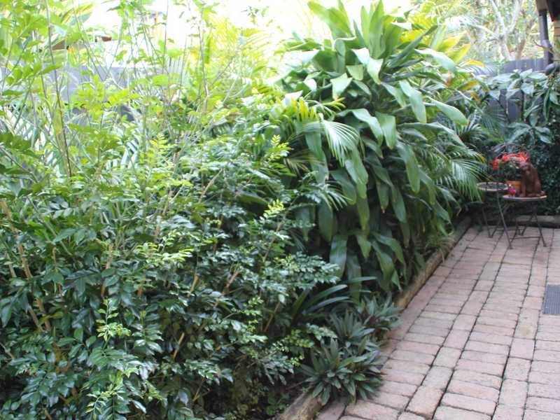 4/7 Lind Avenue, Palm Beach QLD 4221