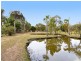 21 Daffodil Street, Tallebudgera QLD 4228