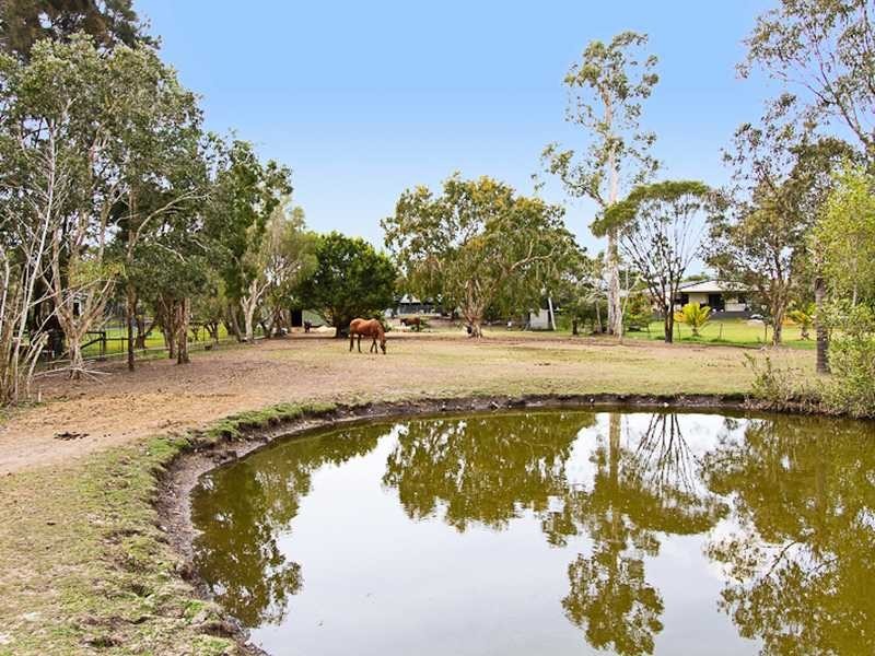 21 Daffodil Street, Tallebudgera QLD 4228