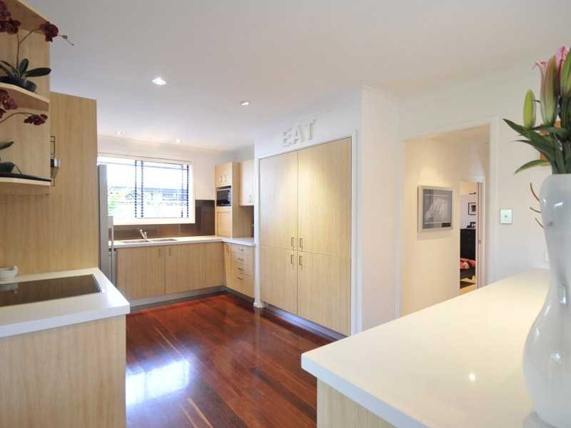 16 Satinwood Place, Palm Beach QLD 4221