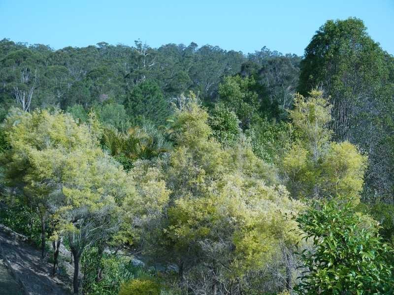 29/232 Guineas Creek Road, Elanora QLD 4221