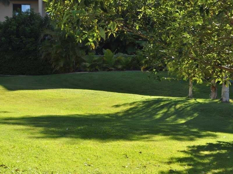 2/9 Domain Road, Currumbin QLD 4223