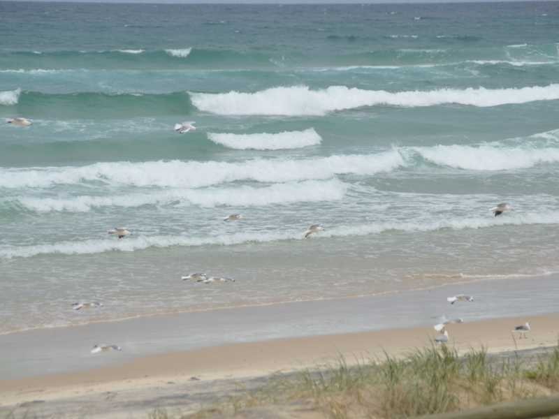 3/1306 Gold Coast Highway, Palm Beach QLD 4221