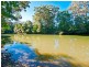 4 Cockatiel Place, Currumbin Waters QLD 4223