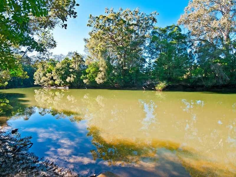 4 Cockatiel Place, Currumbin Waters QLD 4223