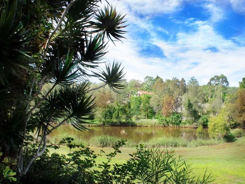 11 Baumea Court, Elanora QLD 4221