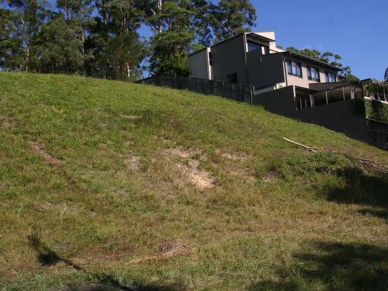 35 Sawtell Drive, Currumbin Waters QLD 4223