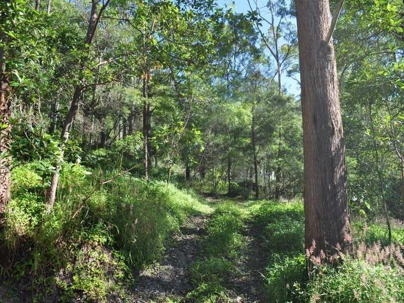 28 Bronhill Street, Currumbin Waters QLD 4223