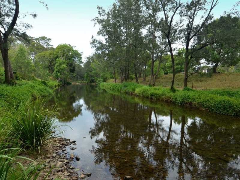 52 Coorabin Court, Tallebudgera QLD 4228