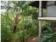 30 Domain Road, Currumbin QLD 4223