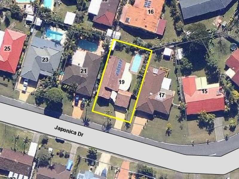 19 Japonica Drive, Palm Beach QLD 4221