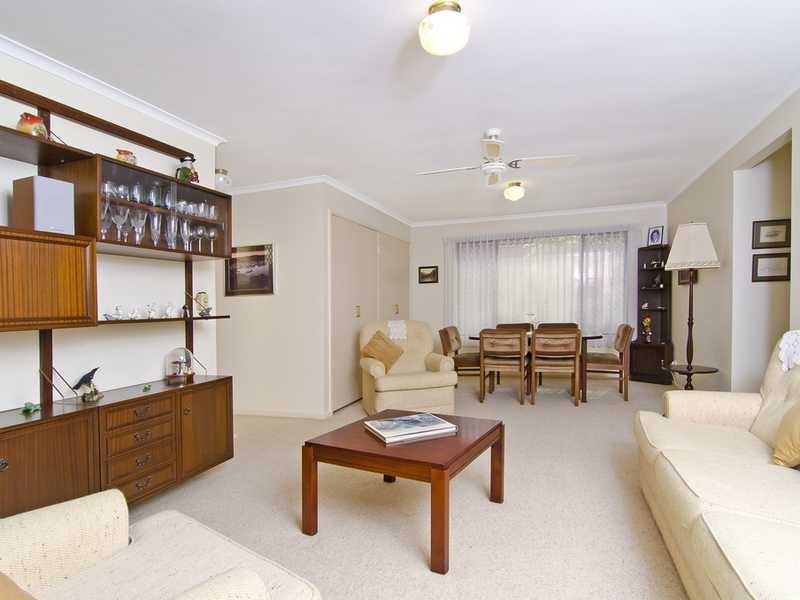 19 Japonica Drive, Palm Beach QLD 4221