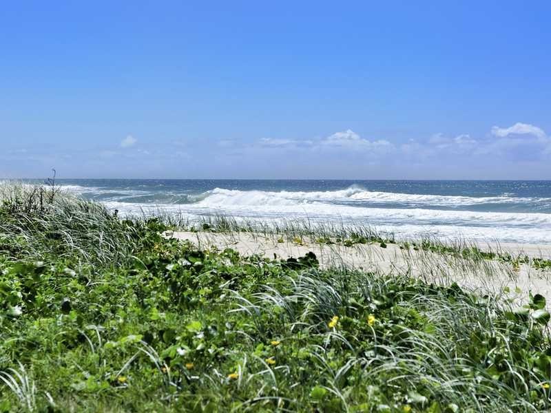 1289 Gold Coast Highway, Palm Beach QLD 4221