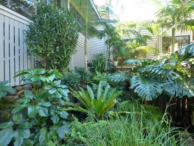 56 Simpsons Road, Currumbin Waters QLD 4223