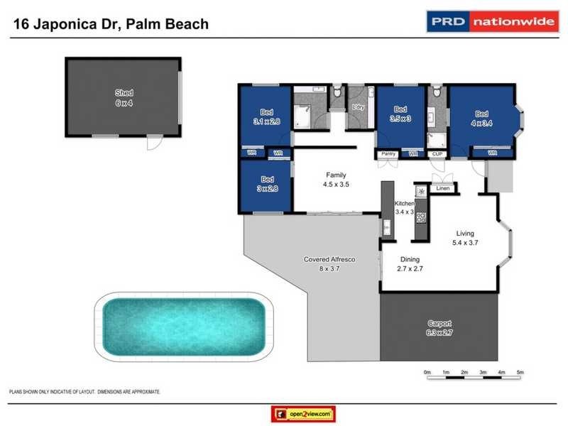 16 Japonica Drive, Palm Beach QLD 4221