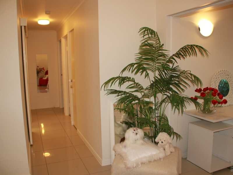 4/7 Lind Avenue, Palm Beach QLD 4221