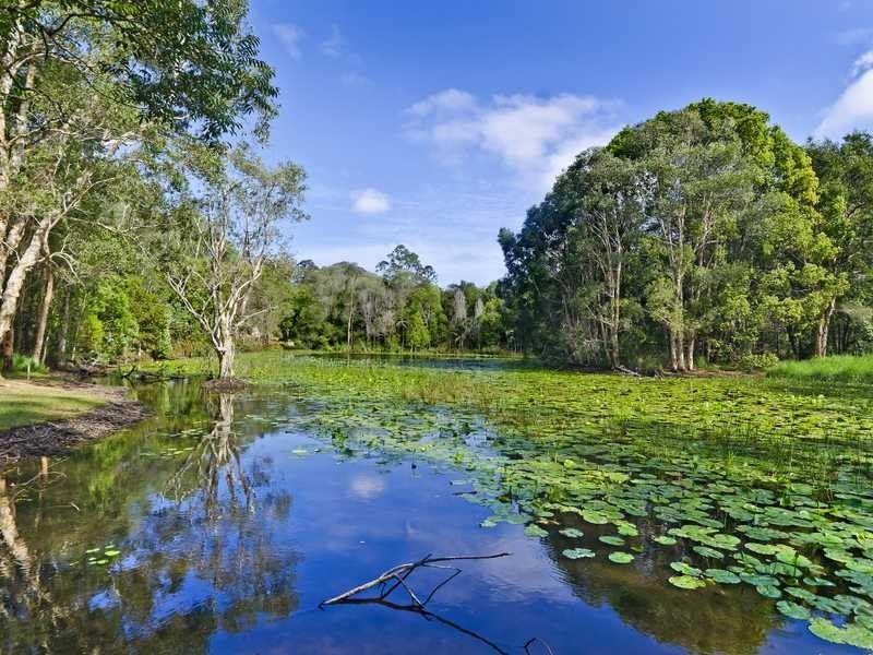 51 Armada Crescent, Currumbin Waters QLD 4223