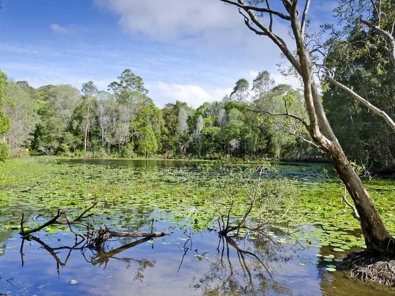 51 Armada Crescent, Currumbin Waters QLD 4223