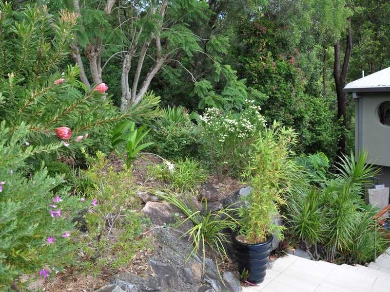 23 Crest Drive, Currumbin QLD 4223