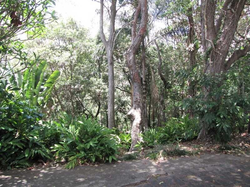 12 Rudd Street, Burleigh Heads QLD 4220