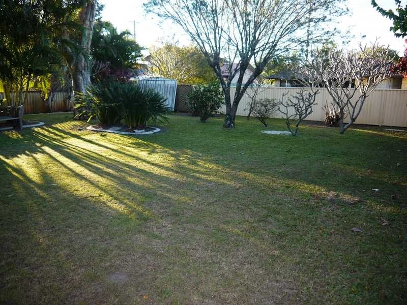 6 Celtis Court, Palm Beach QLD 4221