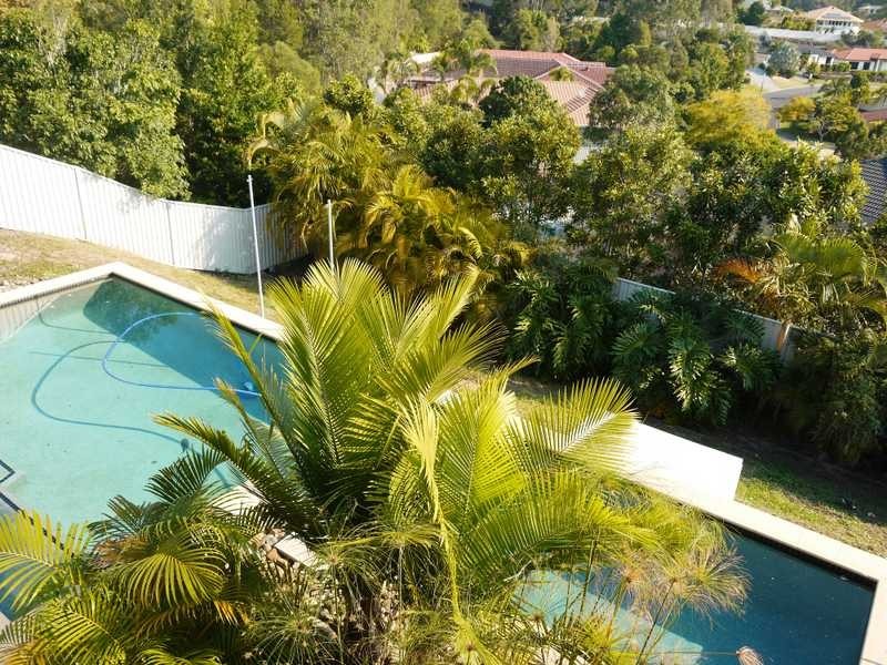 41 Cordyline Drive, Reedy Creek QLD 4227