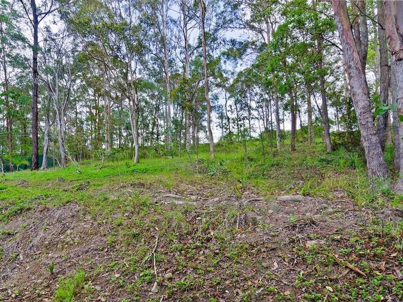 25 Cockatiel Place, Currumbin Waters QLD 4223