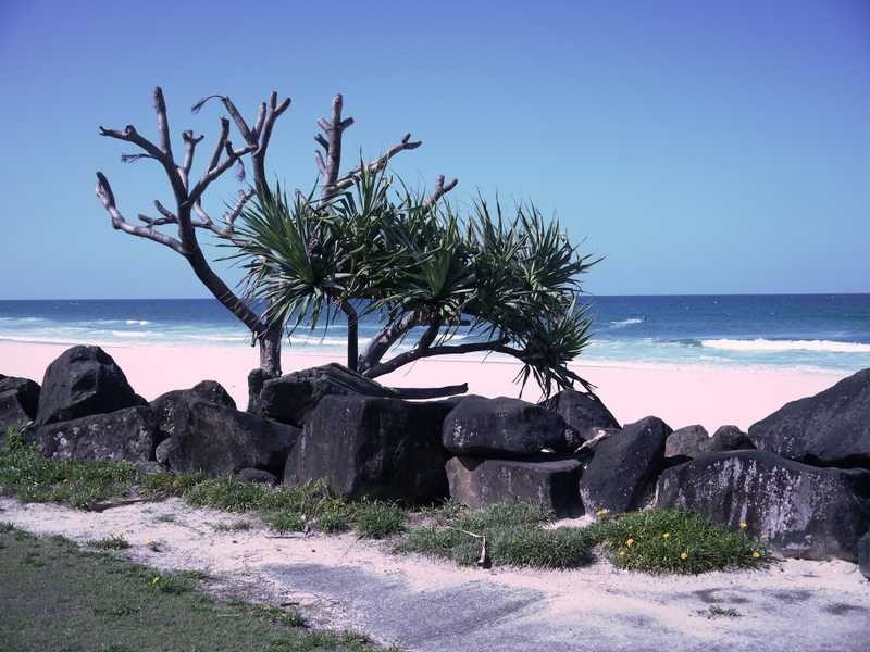 2/2 Palm Beach Avenue, Palm Beach QLD 4221