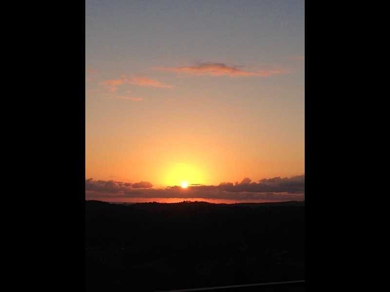 489 Trees Road, Tallebudgera QLD 4228