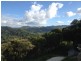 489 Trees Road, Tallebudgera QLD 4228