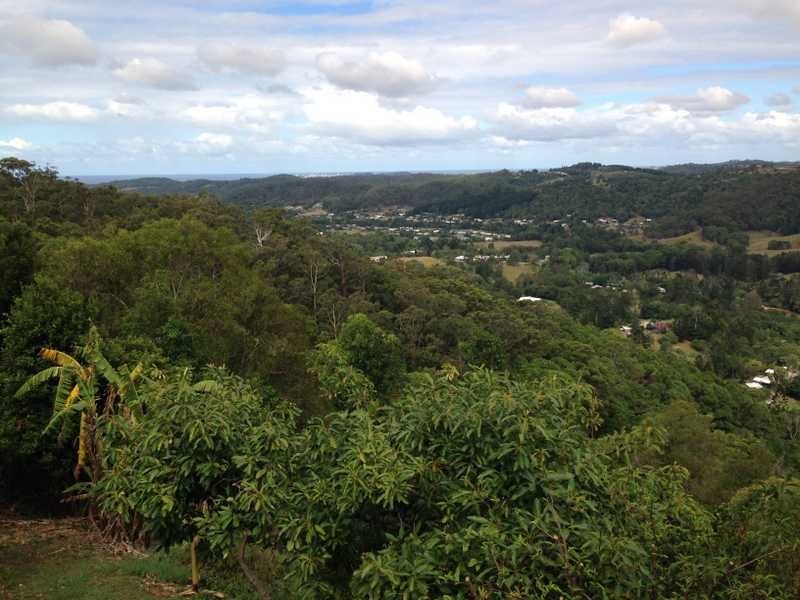 489 Trees Road, Tallebudgera QLD 4228