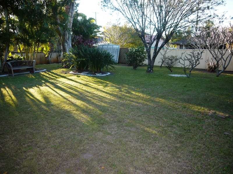 6 Celtis Court, Palm Beach QLD 4221