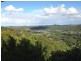 489 Trees Road, Tallebudgera QLD 4228