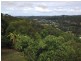 489 Trees Road, Tallebudgera QLD 4228