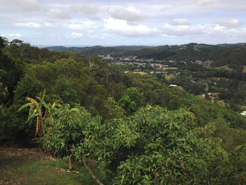 489 Trees Road, Tallebudgera QLD 4228