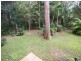 294 Trees Road, Tallebudgera QLD 4228