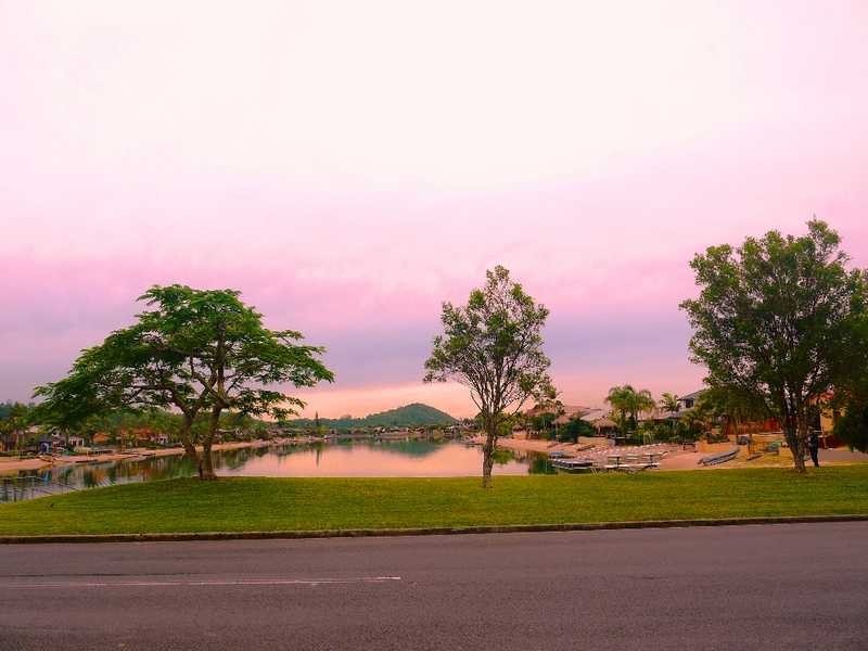 52 Japonica Drive, Palm Beach QLD 4221