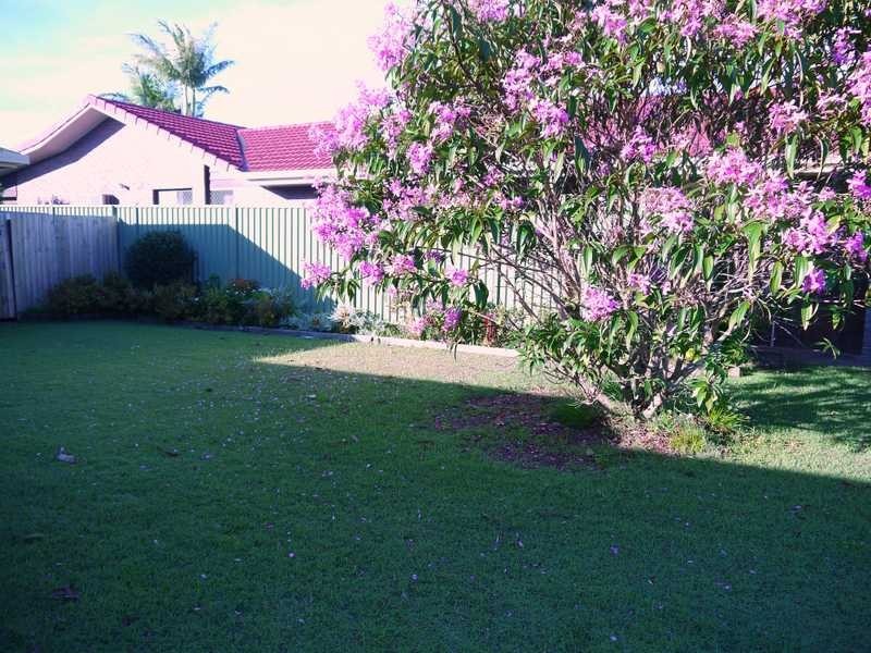 52 Japonica Drive, Palm Beach QLD 4221