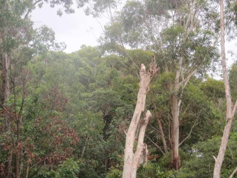 Unit 20/2 Simpsons Road, Currumbin Waters QLD 4223