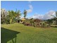 77 Kelly Road, Kuranda QLD 4881