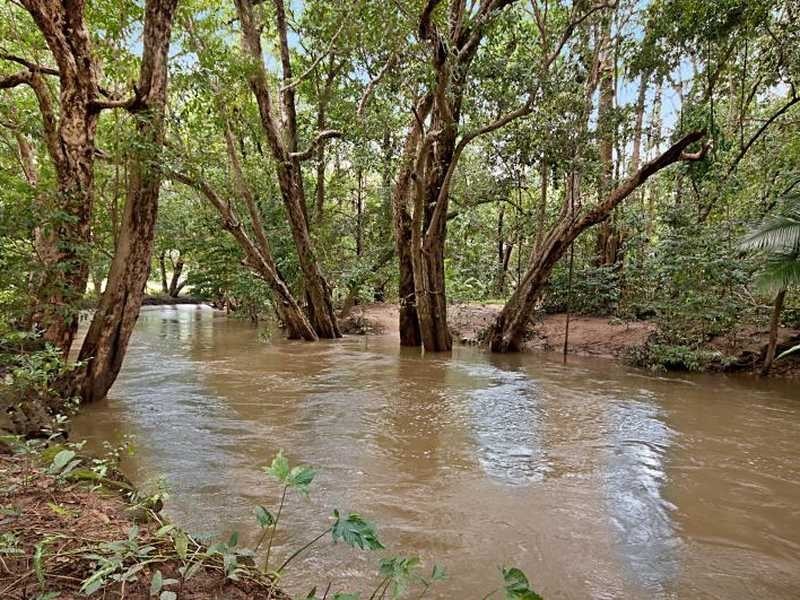 47/294-310 Kamerunga Road, Freshwater QLD 4870