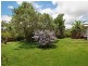 20 Junction Street, Edge Hill QLD 4870