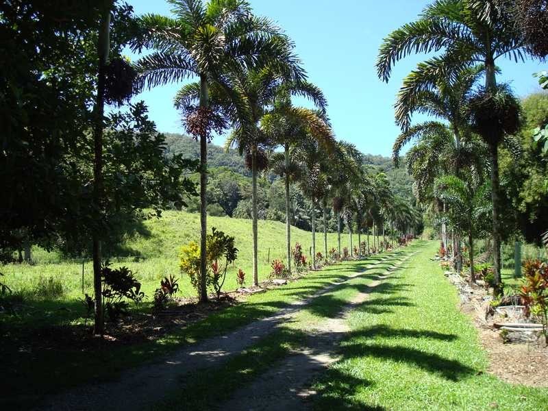 Stewart Creek Road, Daintree QLD 4873