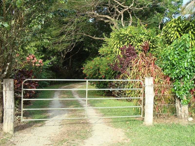 Stewart Creek Road, Daintree QLD 4873