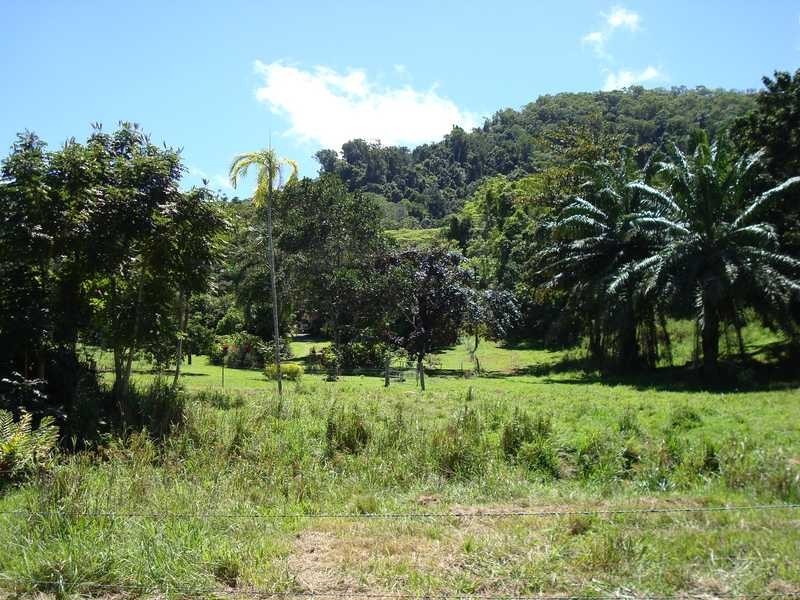 Stewart Creek Road, Daintree QLD 4873