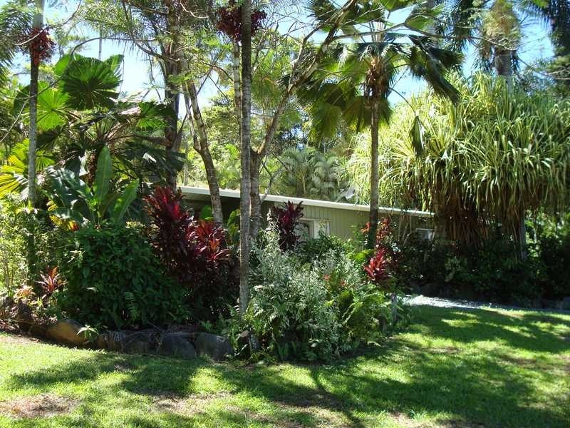 Stewart Creek Road, Daintree QLD 4873