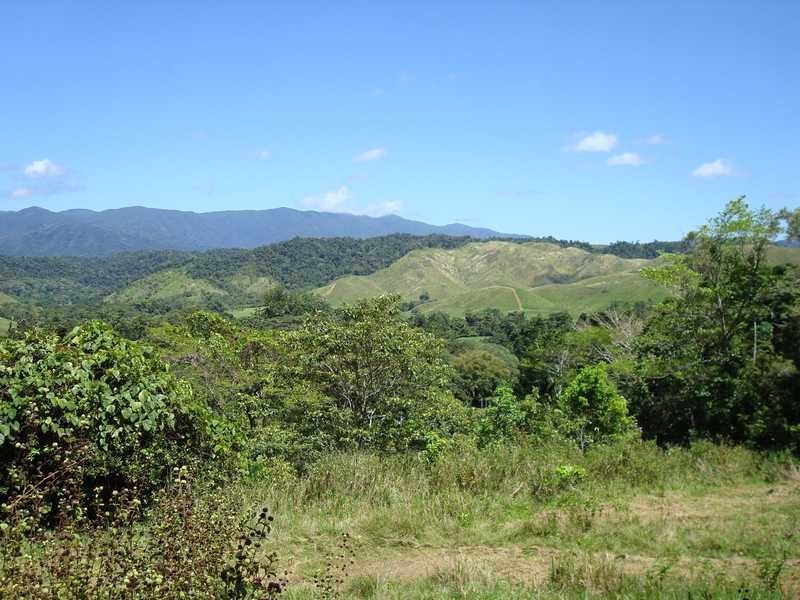 Stewart Creek Road, Daintree QLD 4873