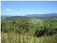 Stewart Creek Road, Daintree QLD 4873